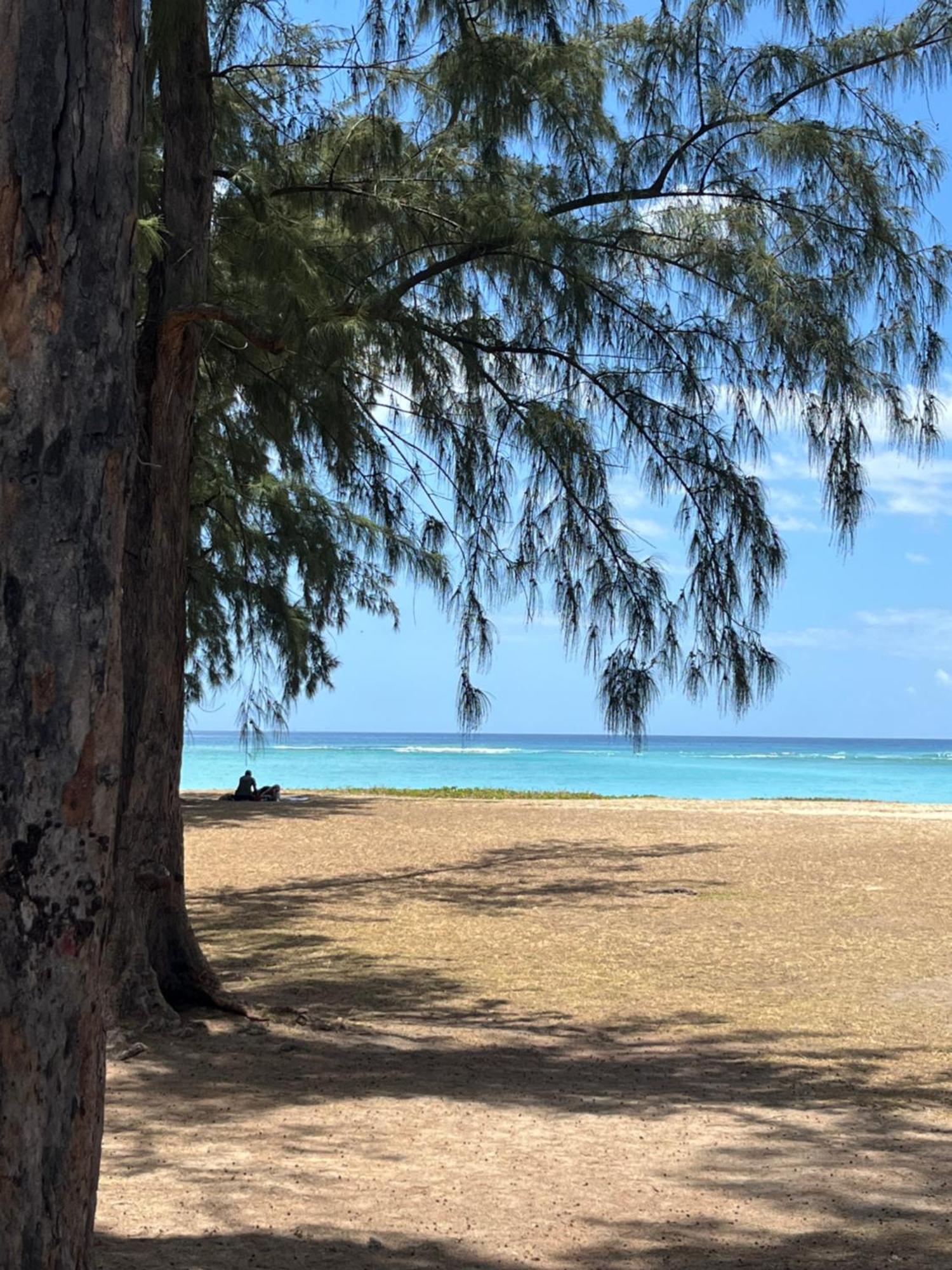 Appartamento Tropical Retreats Flic-en-Flacq Esterno foto